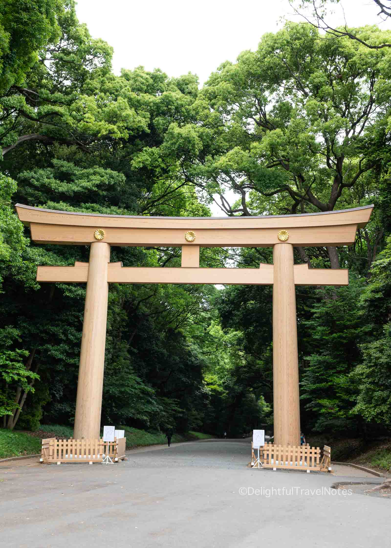 Meiji Jingu large wooden torii gate at the entrance