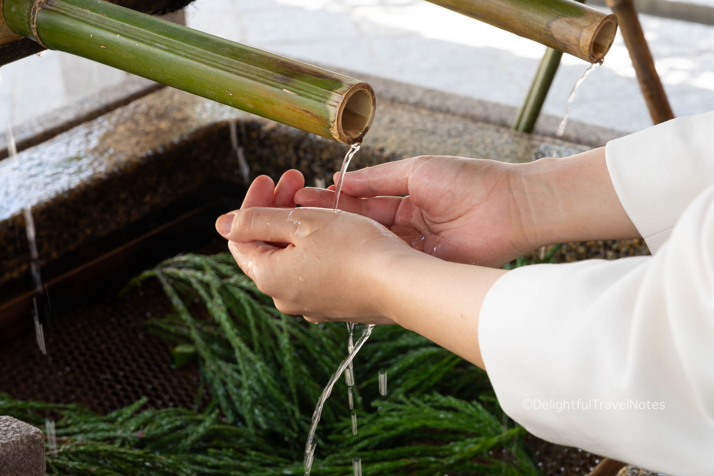 rinsing hands with water flowing from bamboo pipes to purify at Japanese temples and shrines