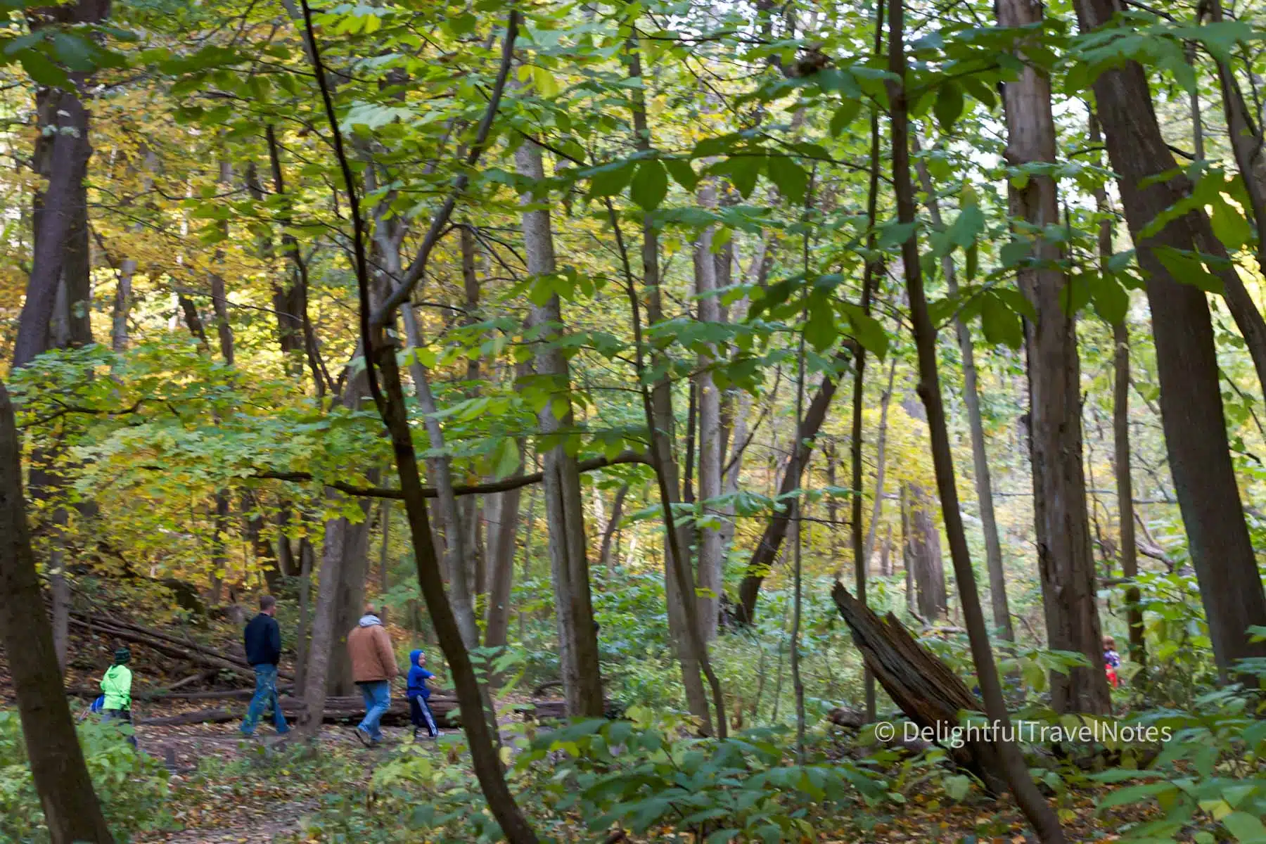 a trail at Starved Rock State Park in Illinois, one of the best places for fall colors in Illinois