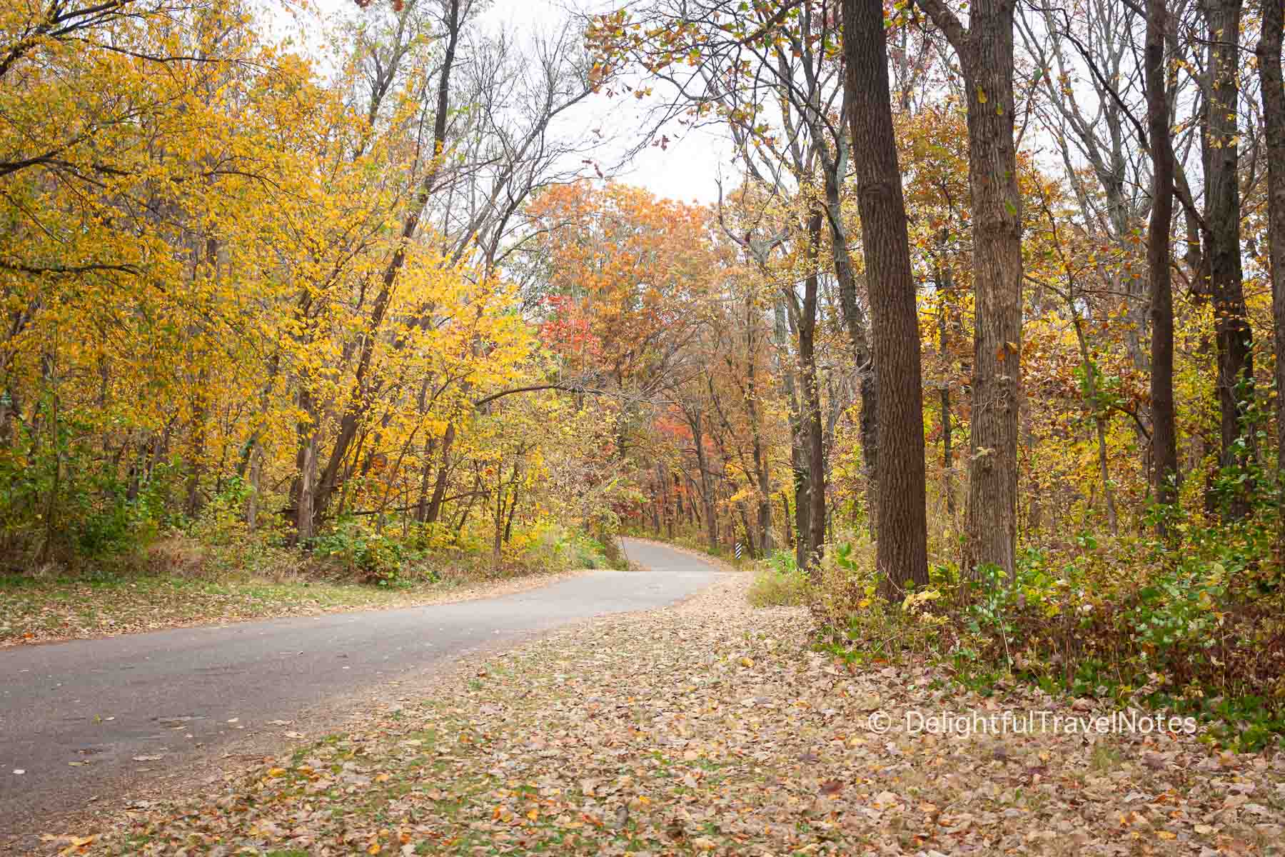 Fall foliage at Allerton Park & Retreat in Monticello Illinois