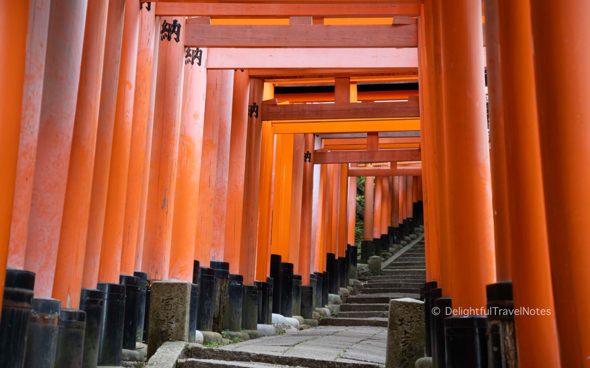 the vermillion gates at Fushimi Inari in Kyoto.