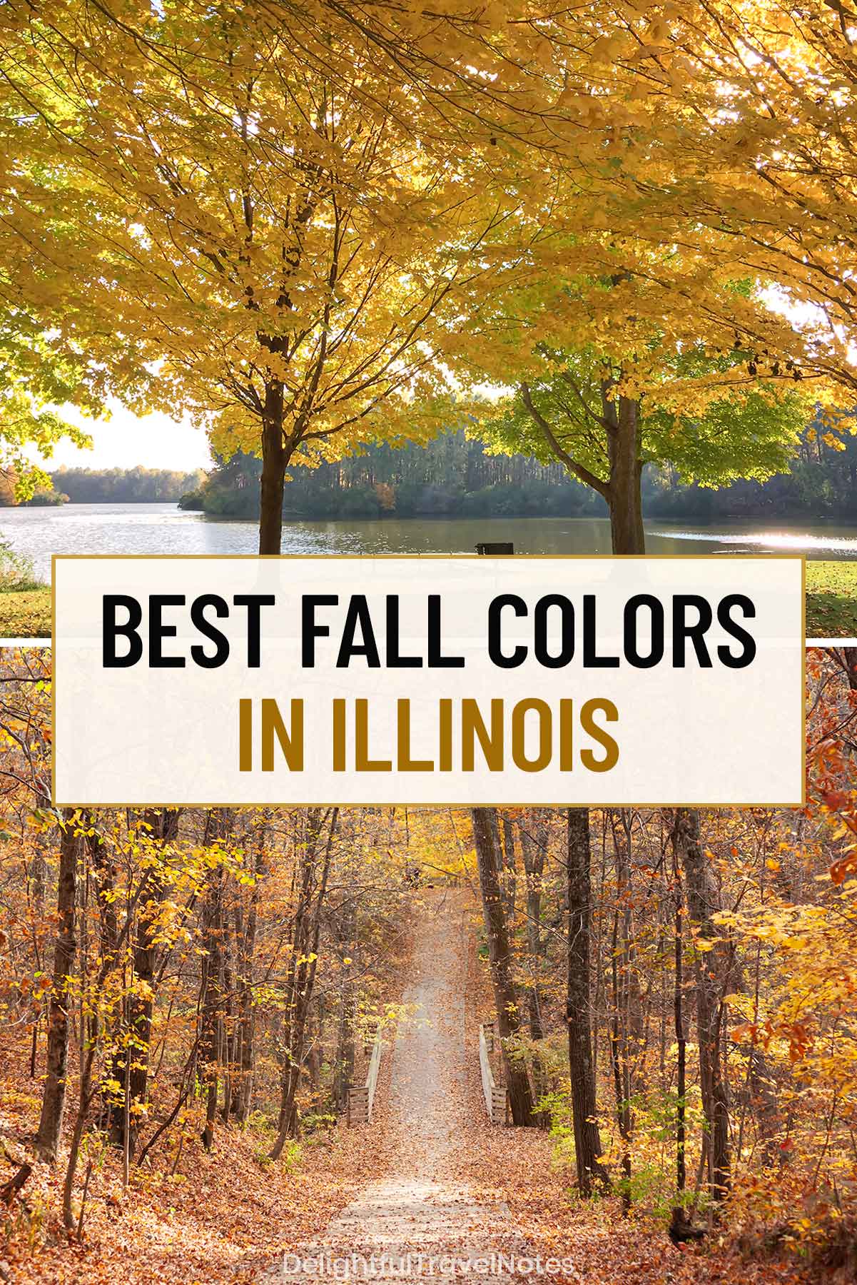 a collage of best places to see fall colors in Illinois.