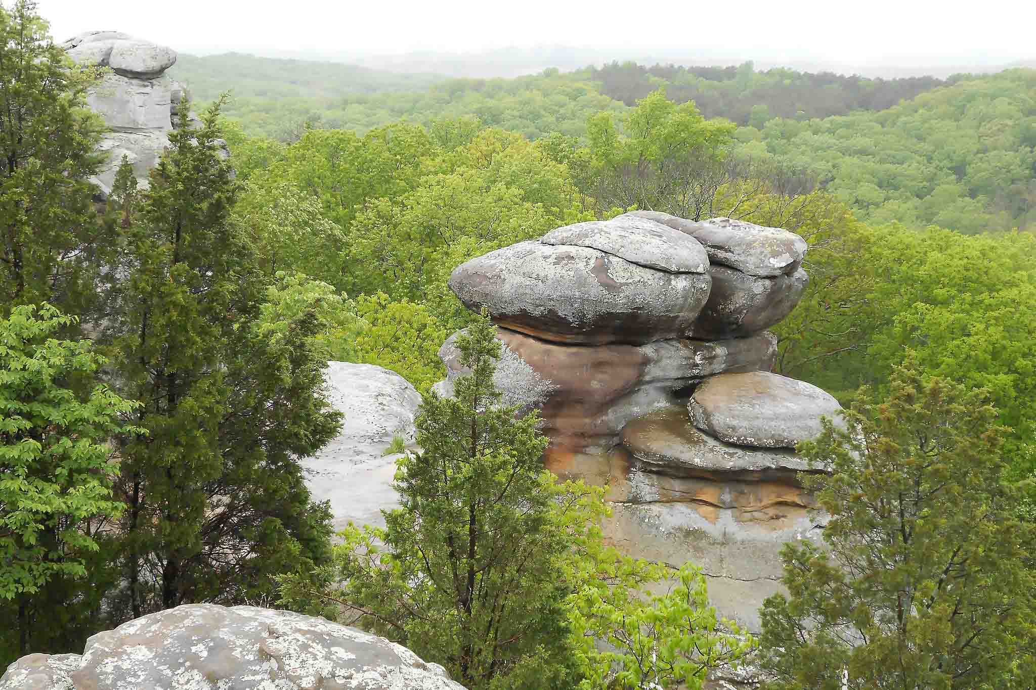 view of Shawnee National Forest in Illinois.