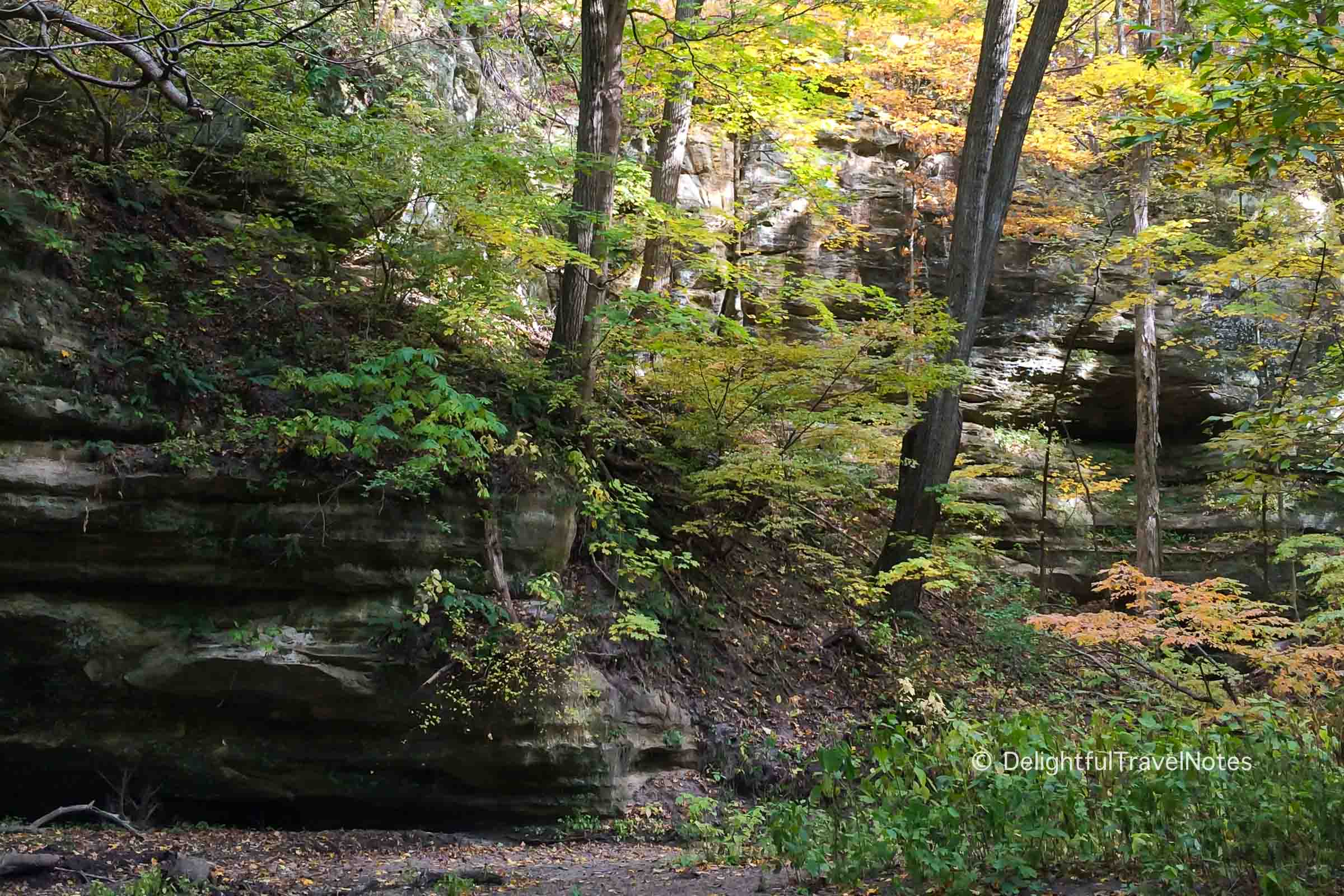 view of trees and rock formations at Starved Rock State Park, a road trip destination in Illinois.