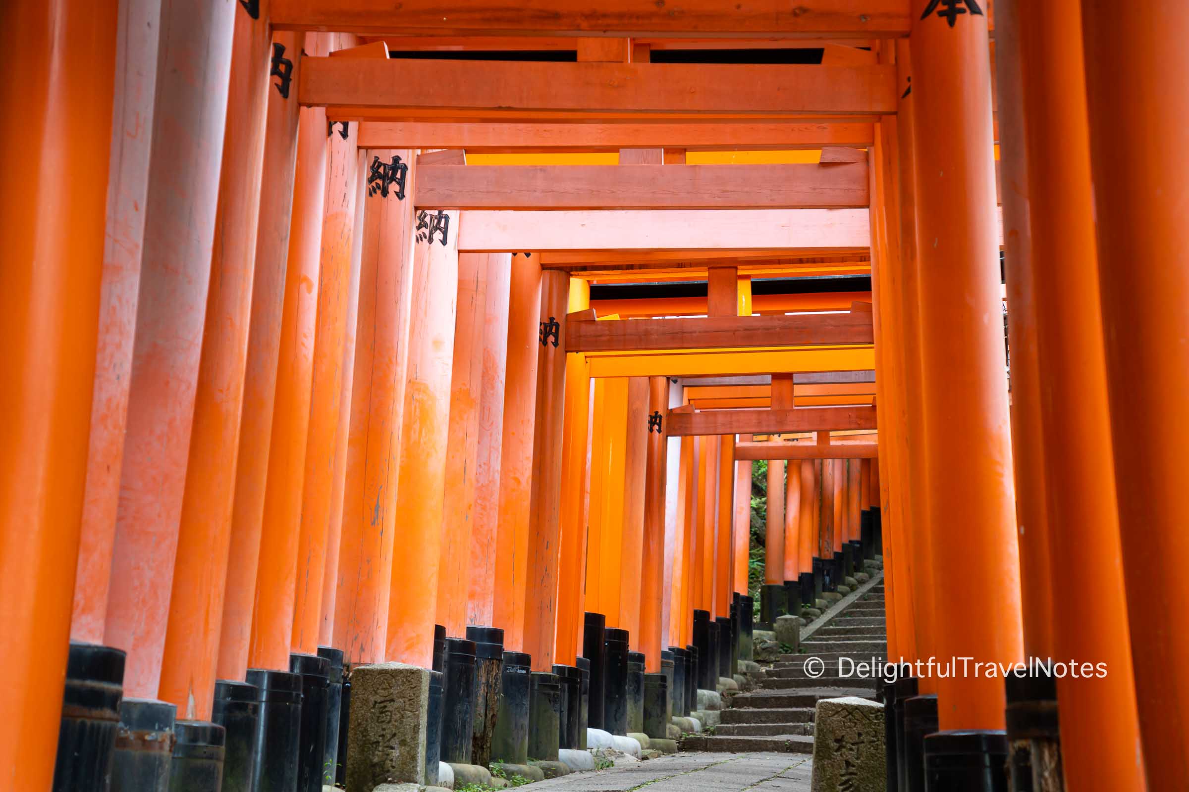 a tunnel of vermillion torii gates at Fushimi Inari Taisha in Kyoto.