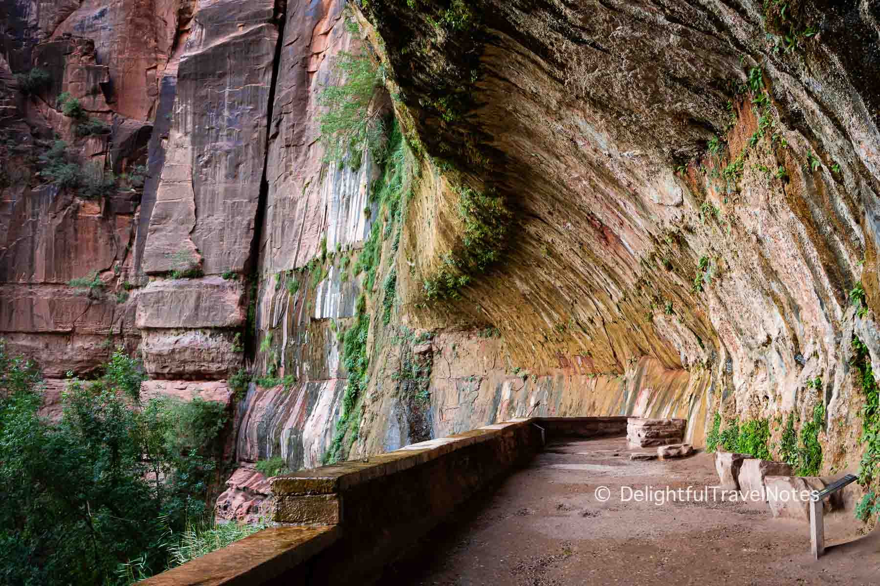 the alcove at the end of Weeping Rock Trail, one of the shaded trails to avoid the heat at Zion National Park.