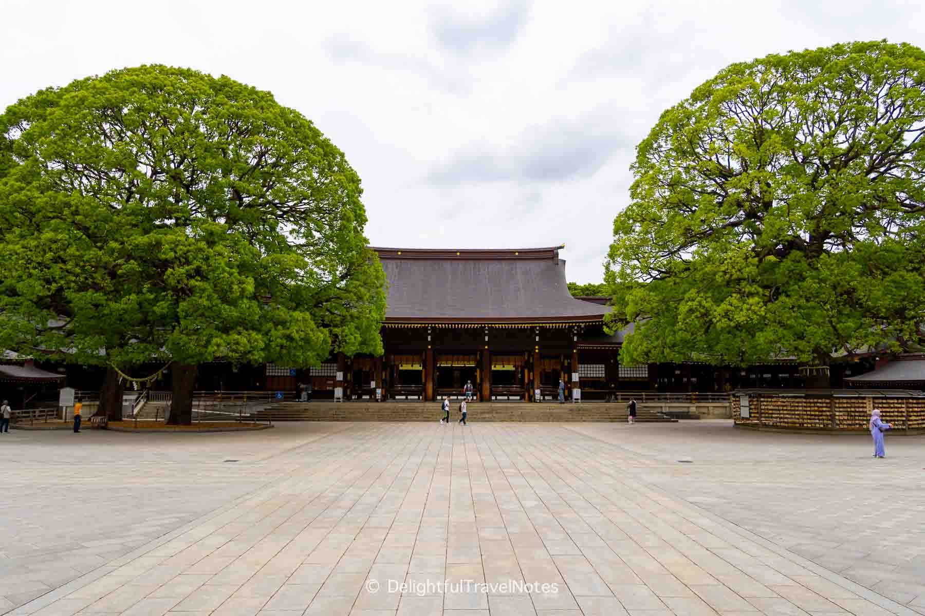 the main shrine complex courtyard of Meiji Jingu.