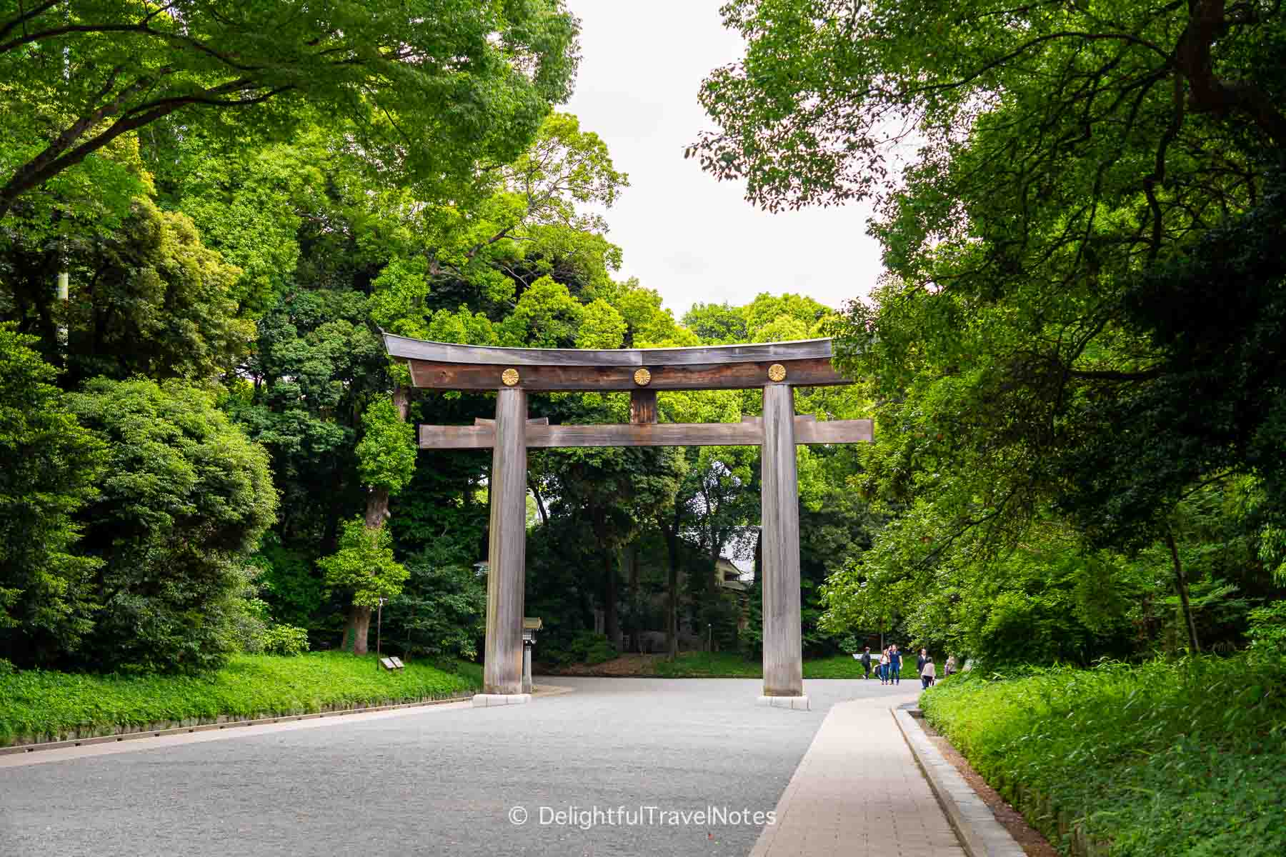 the second torii gate at Meiji Jingu in Tokyo.