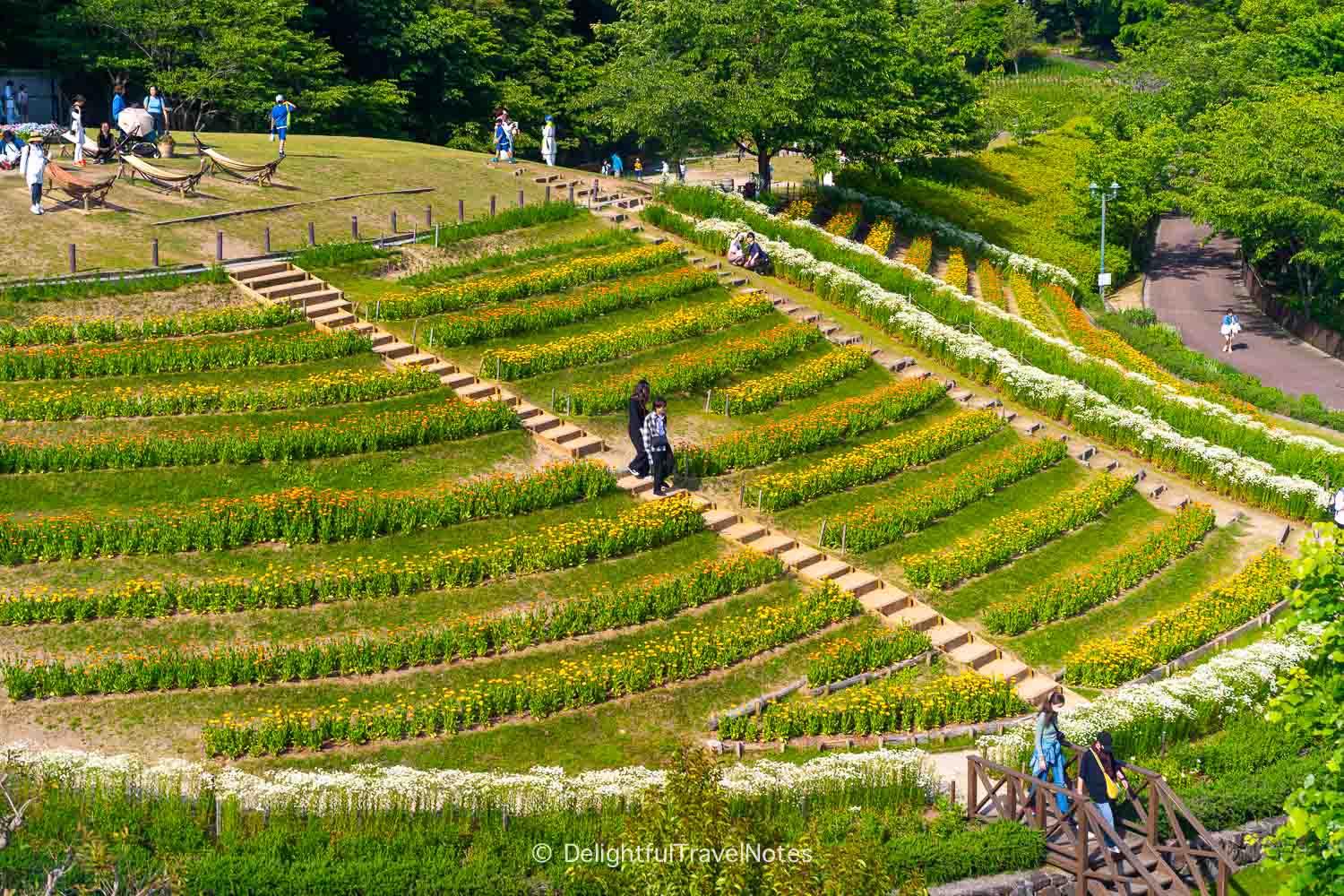 Cascading patches of flowers at Nunobiki Herb Gardens in Kobe.