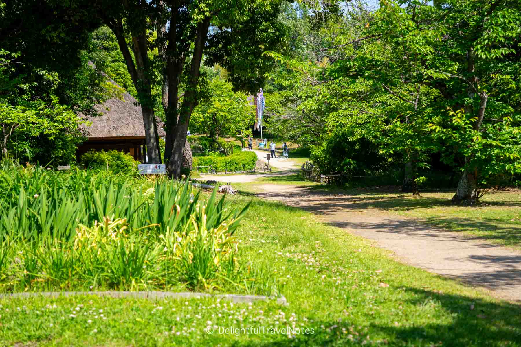 Walking paths amidst lush greenery at Open-air Museum of Old Japanese Farmhouses, Osaka.
