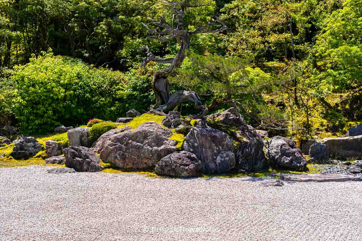 Close up look of the turtle island in Konchi-in rock garden.