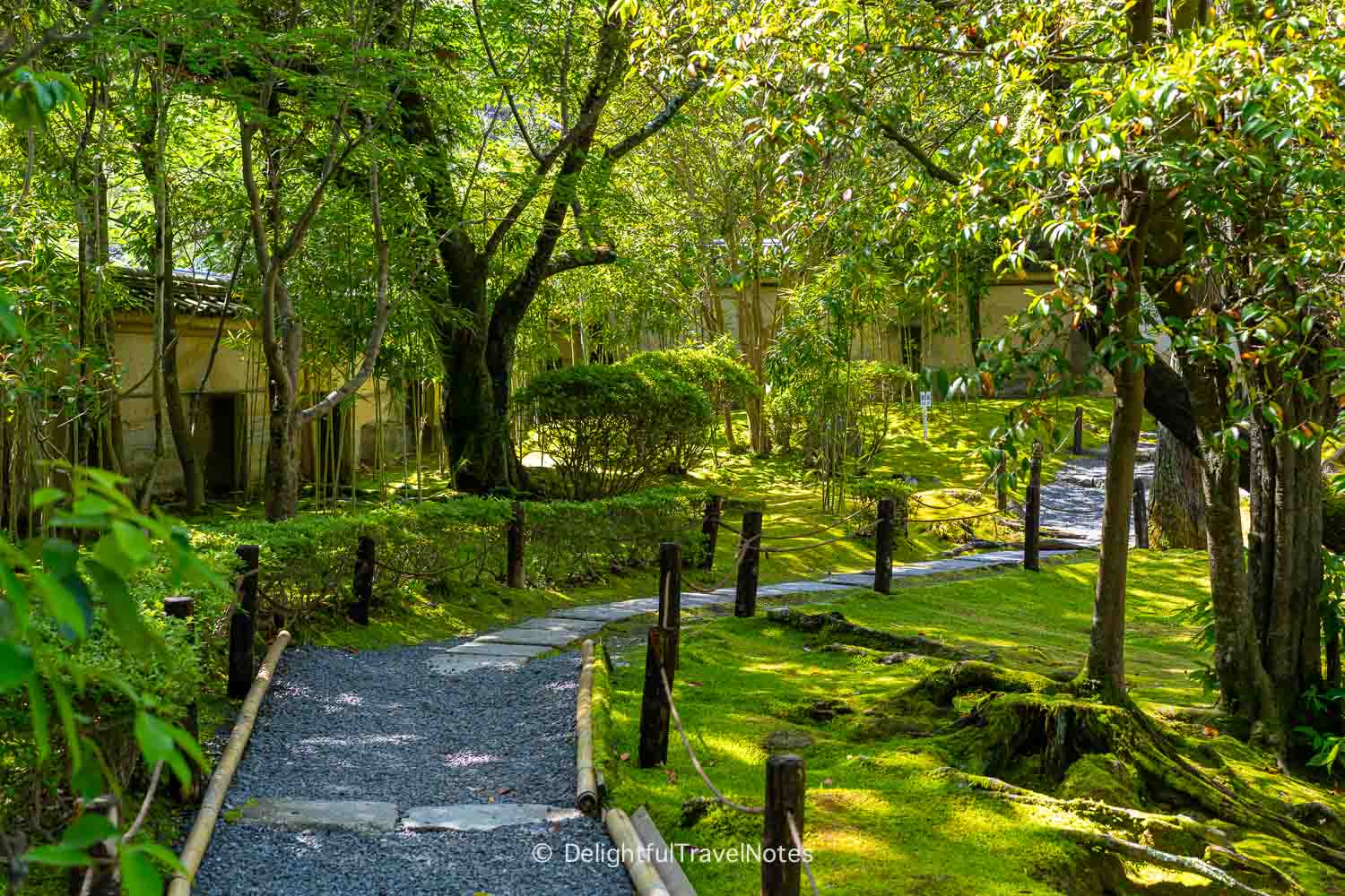 the moss-lined path in Konchi-in garden in Kyoto.