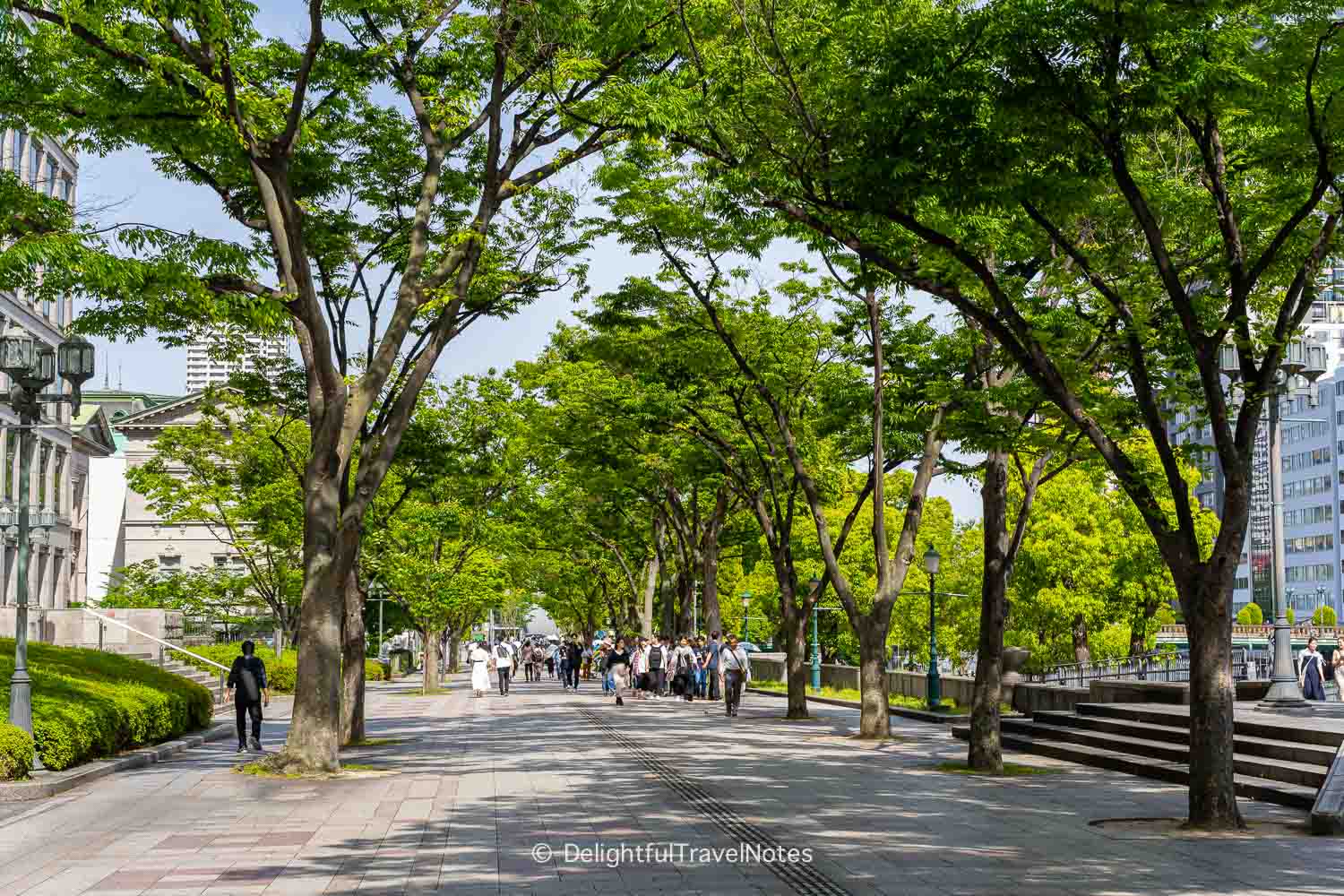 Miotsukushi Promenade lined with trees on Nakanoshima Island in Osaka.