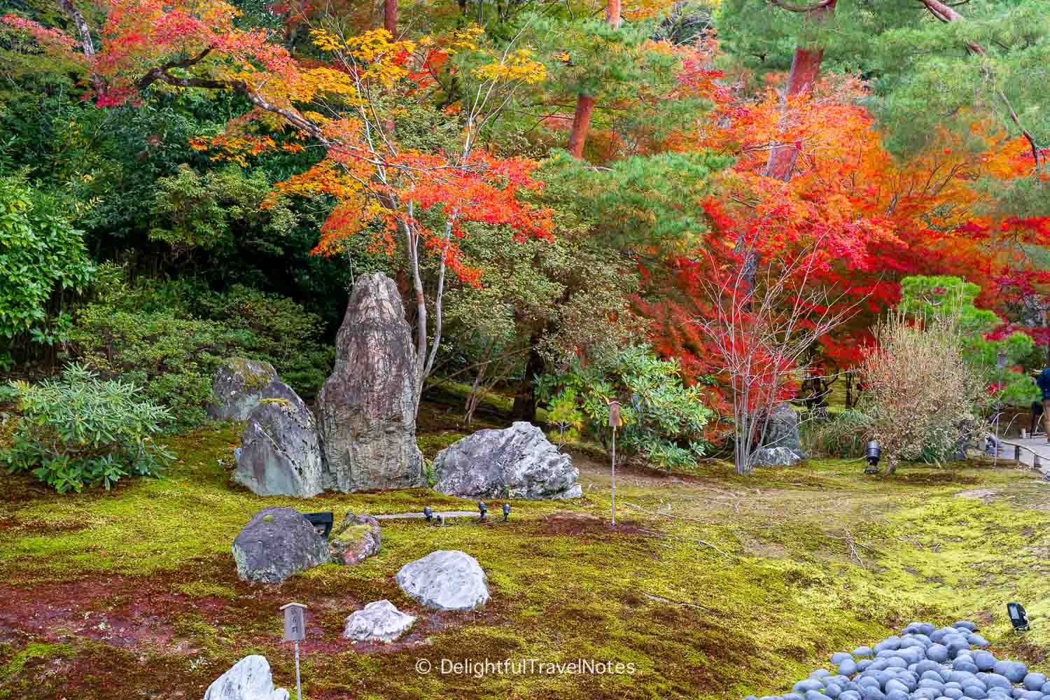 Buddha triad in Hogon-in garden with fall foliage backdrop.