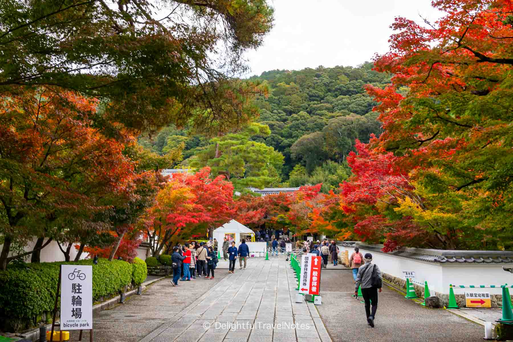 pathway lined by colorful maple trees at Eikan-do.