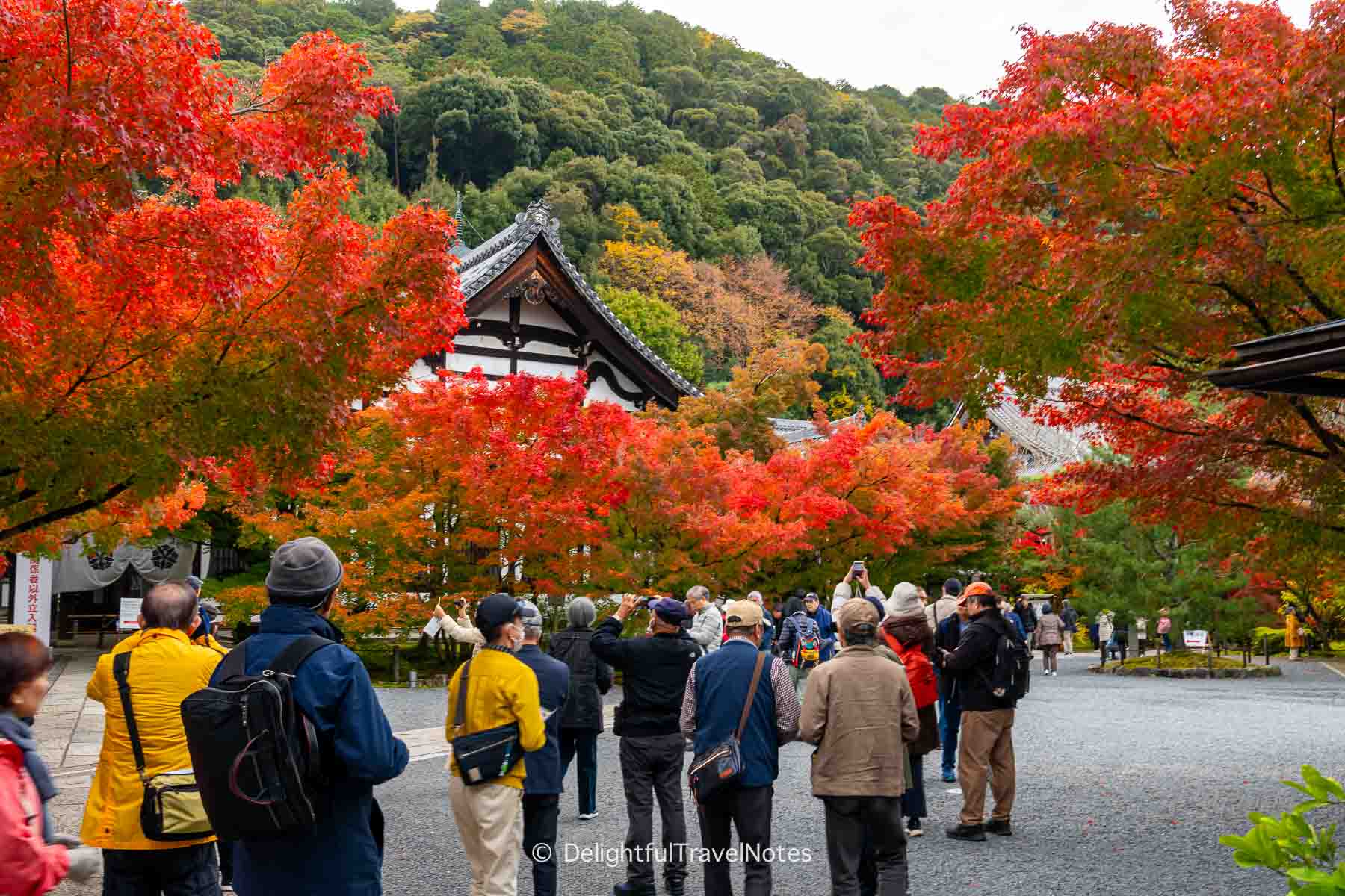 Eikando busy temple grounds in the fall.