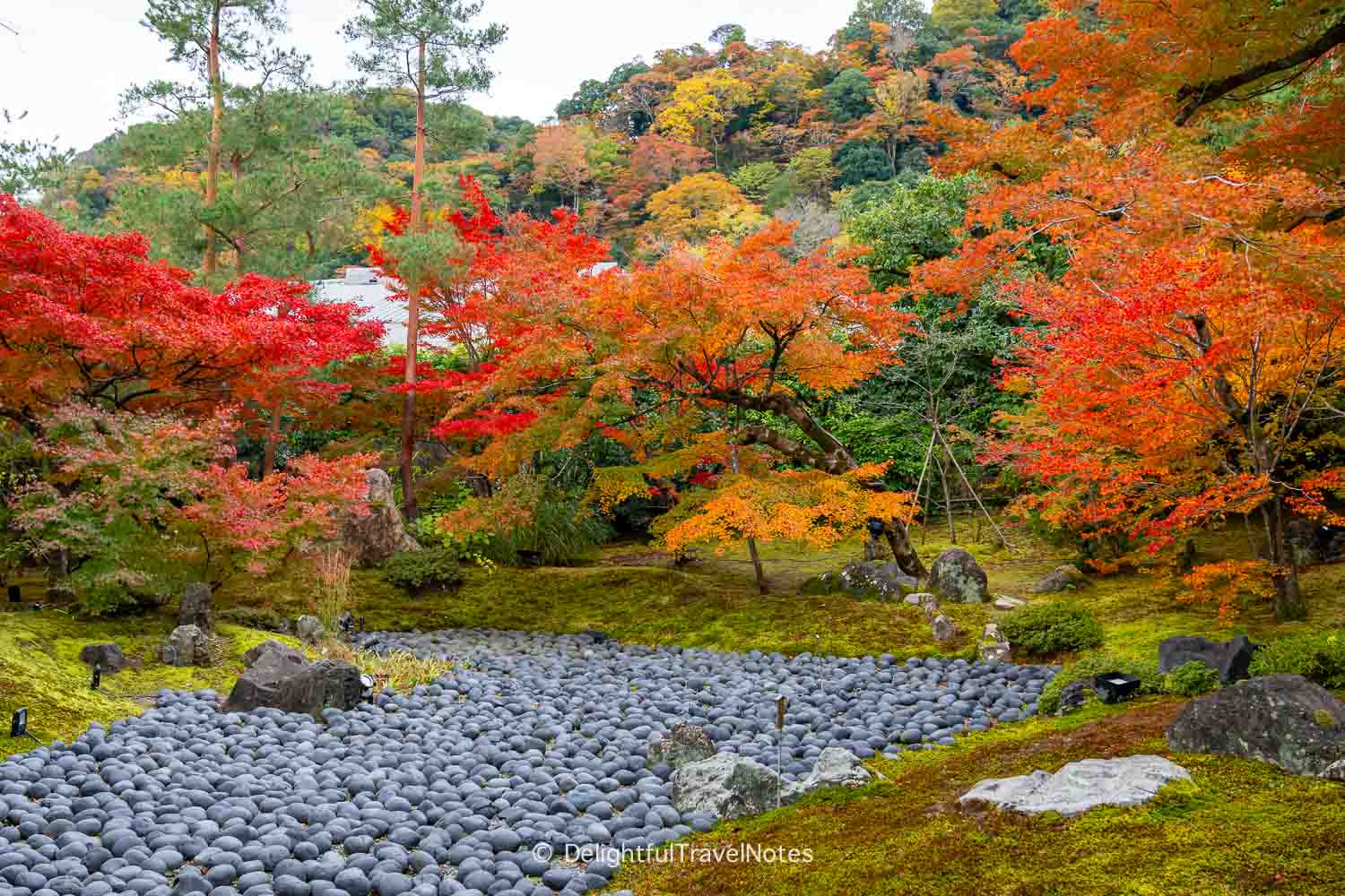 Fall colors above the dry pond "sea of suffering" at Hogon-in in Arashiyama, Kyoto.