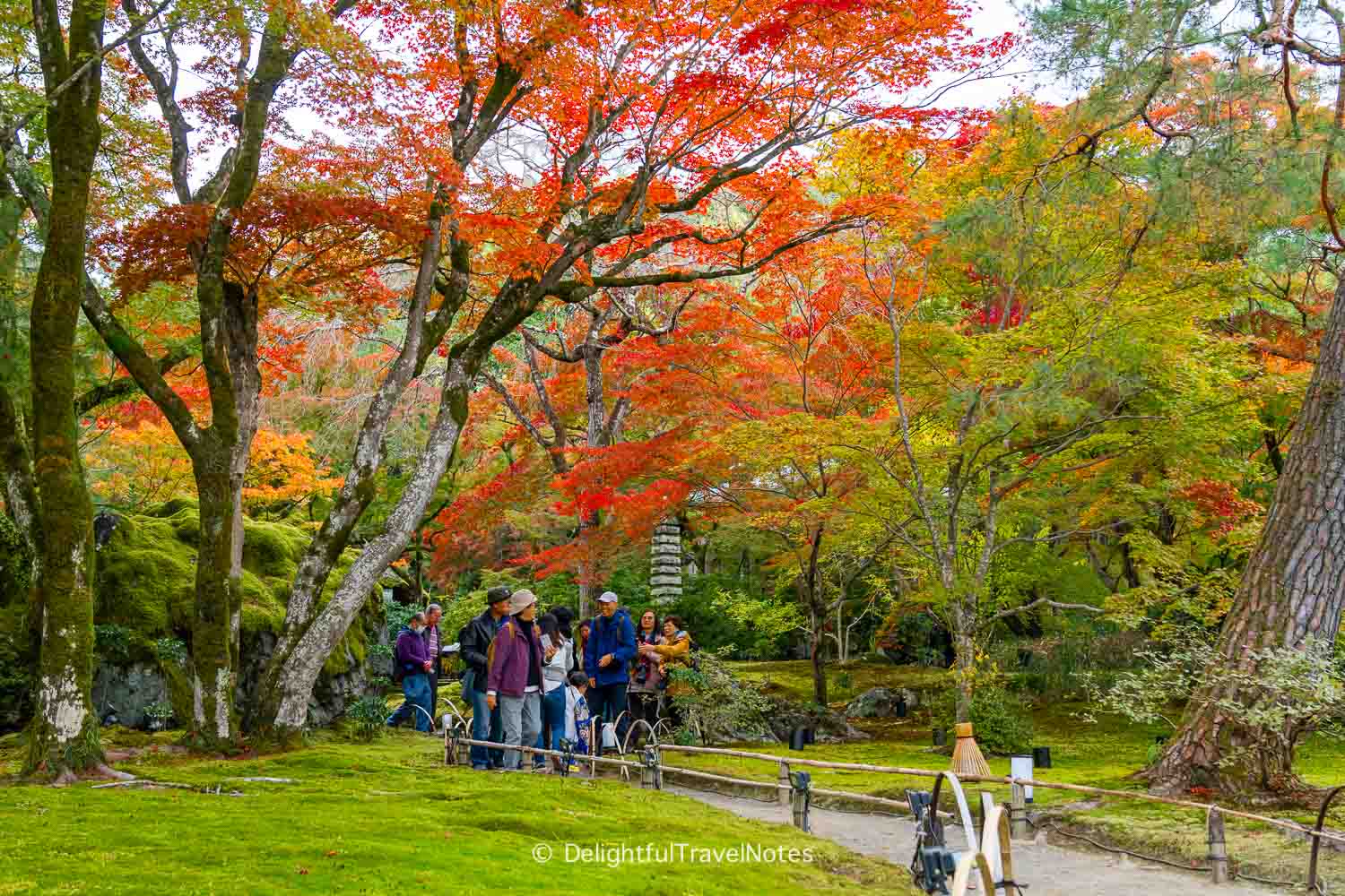 Hogon-in garden with vibrant fall foliage in Arashiyama, Kyoto.