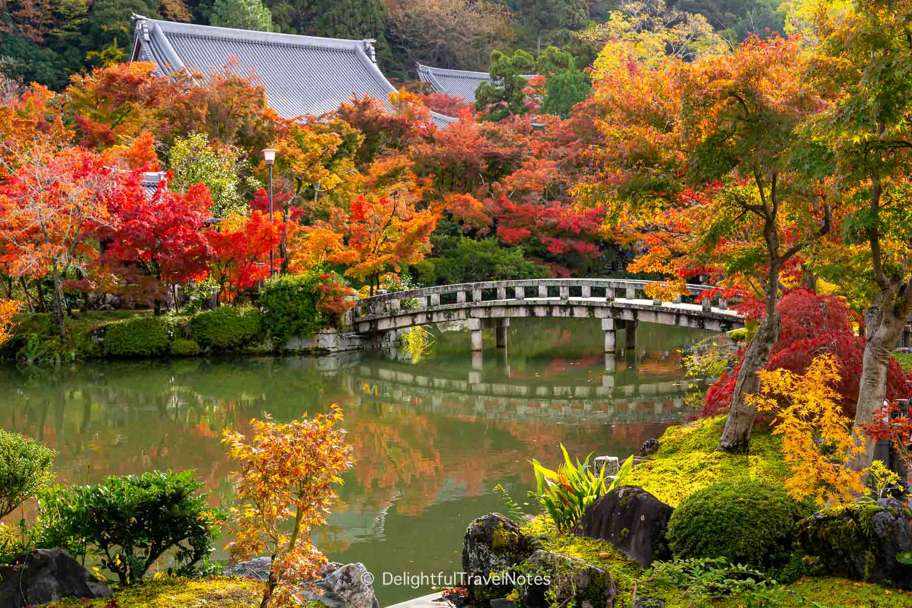 Hojo pond and bridge reflection with stunning fall colors at Eikando in Kyoto.