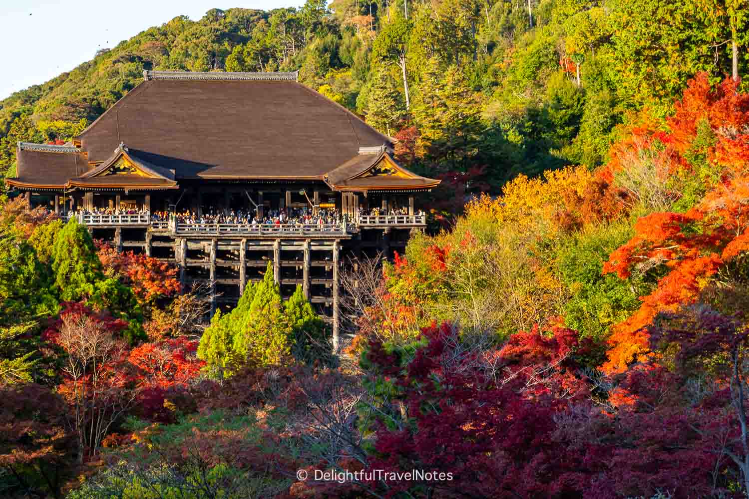 view of Kiyomizu-dera Hondo main hall with fall colors.