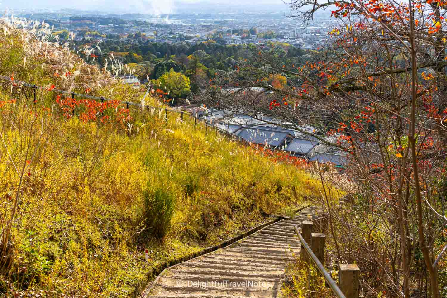 Mount Wakakusa hillside with grass and Nara panoramic views in the background with fall colors.