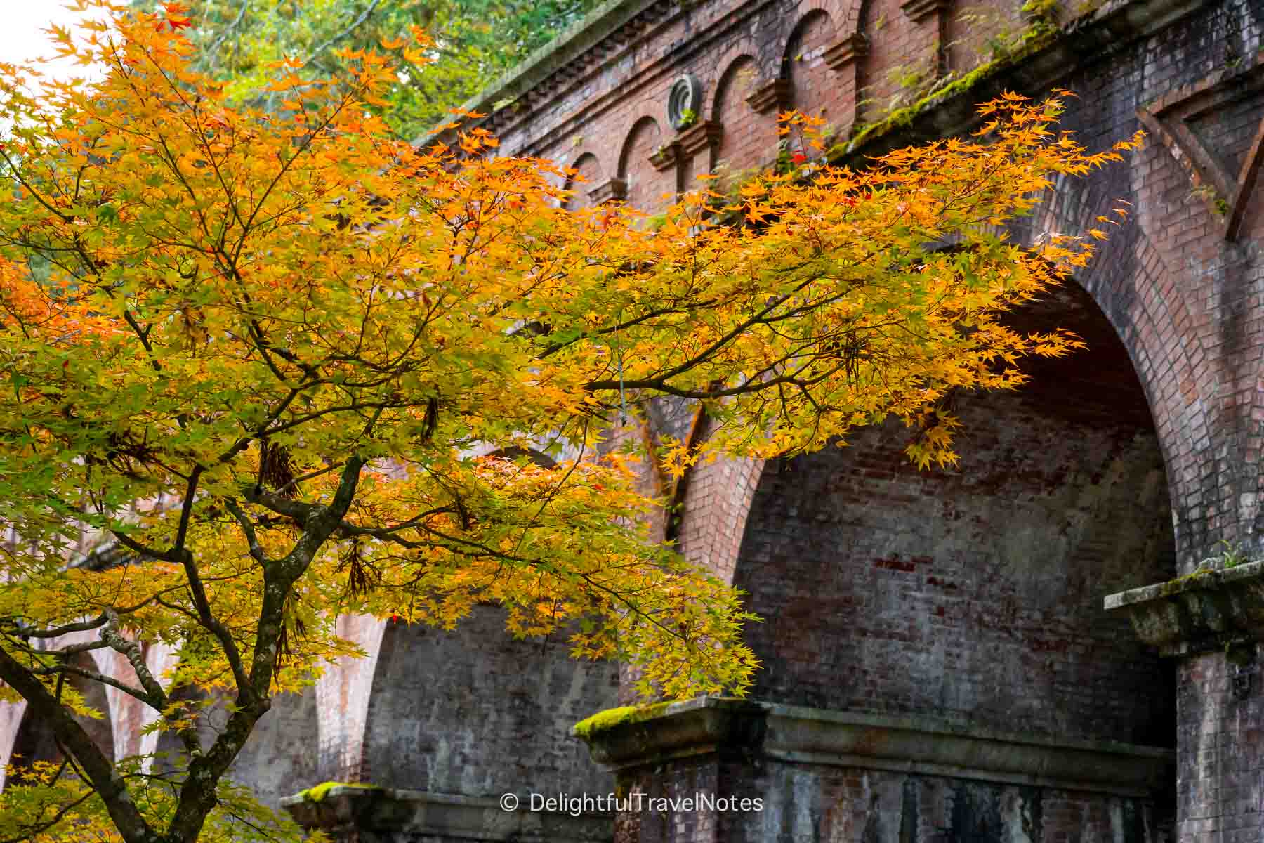 Nanzen-ji Suirokaku Aqueduct with maple tree in the fall.