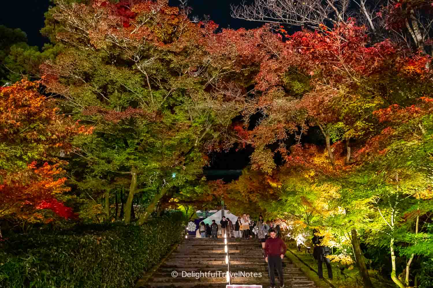 staircase during night illuminations in the fall at Eikan-do.