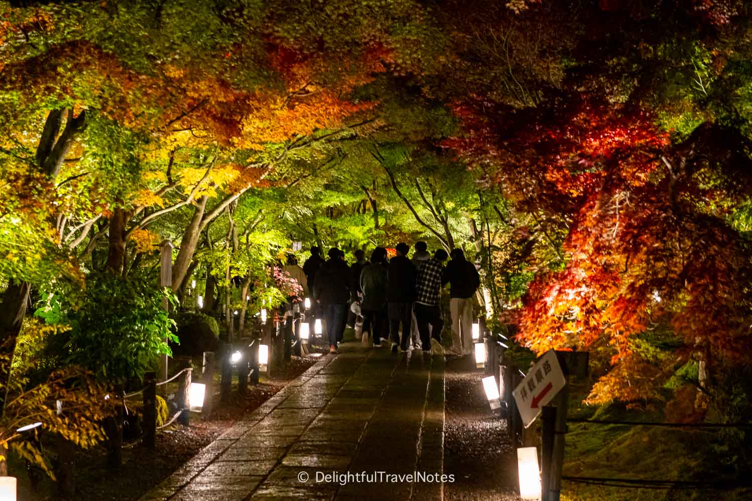 the walkway illuminated at night at Eikando temple in Kyoto in the fall.