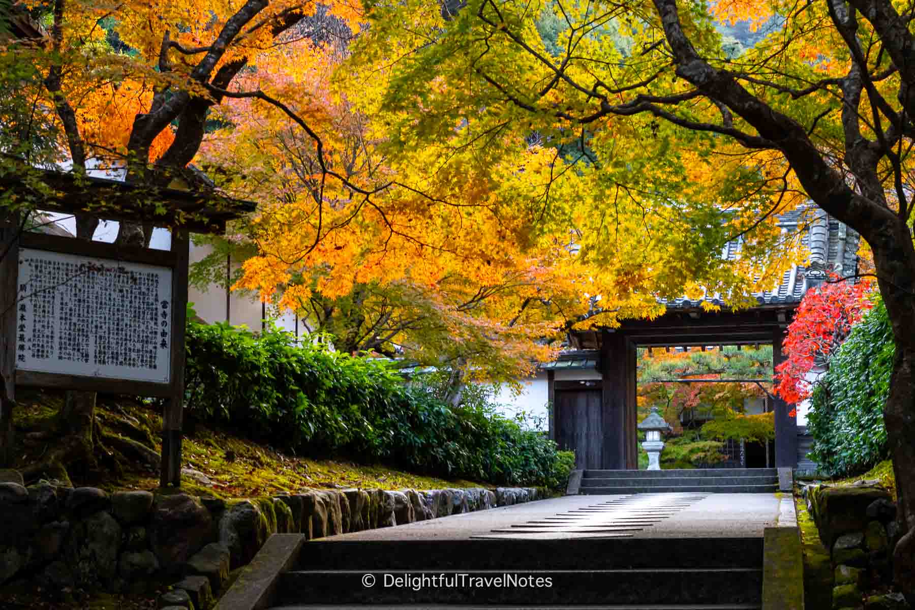 Saisho-in gate with vibrant fall foliage Kyoto.