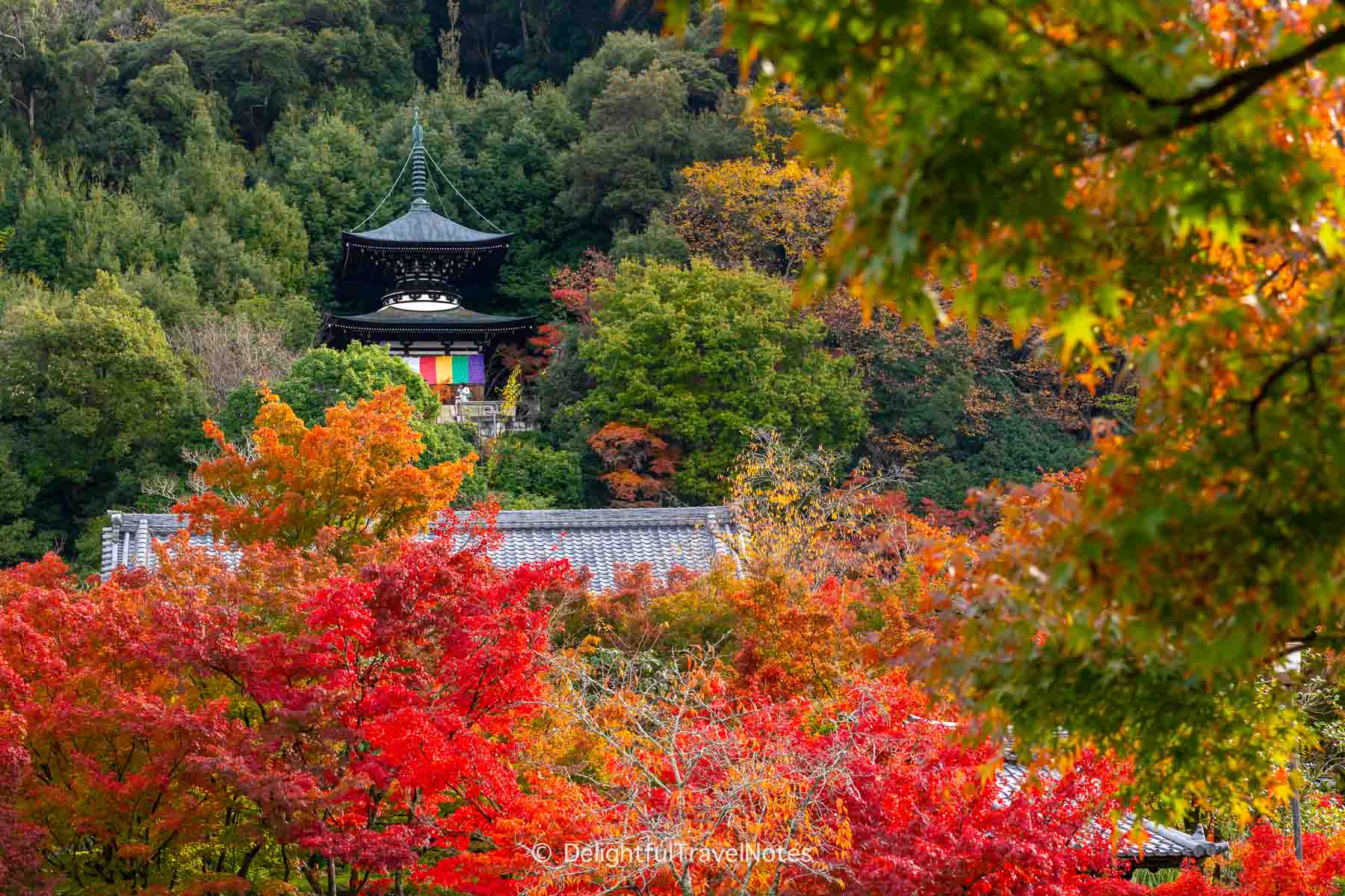 view of Tahoto Pagoda at Eikando temple in Kyoto framed by fall foliage.