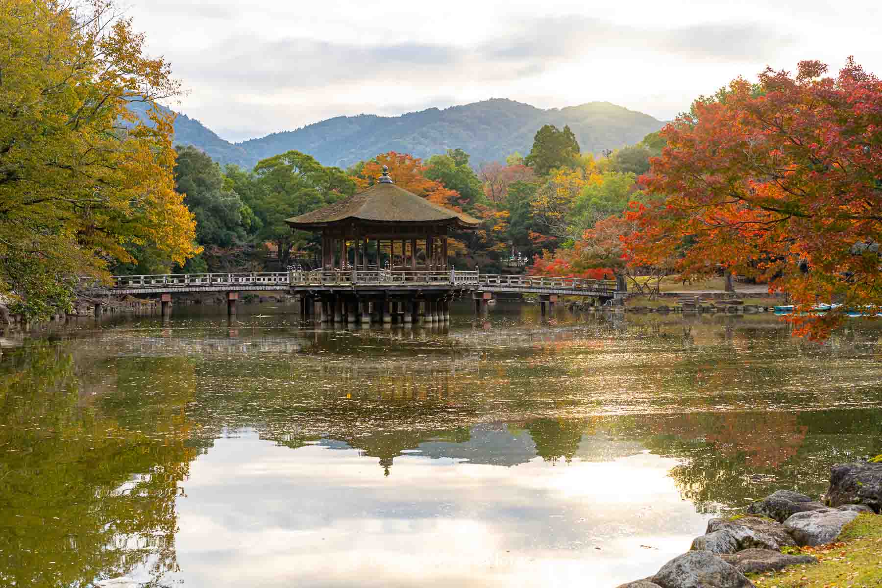 Ukimido Pavilion framed by fall foliage in Nara.