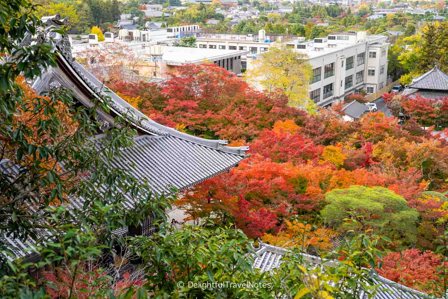 View of fall foliage from Tahoto pagoda at Eikando in Kyoto.