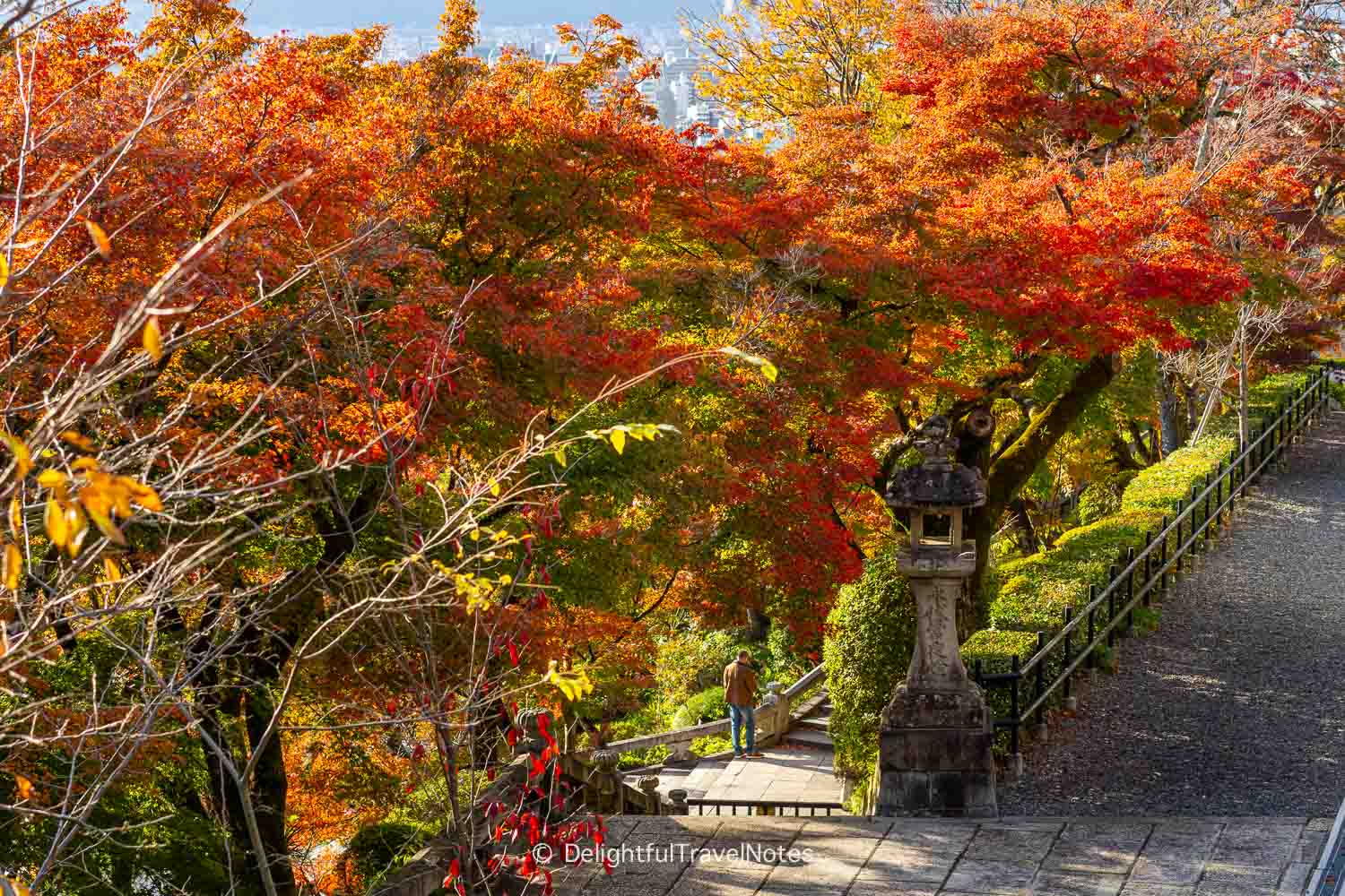 a walking path framed by fall foliage at Kiyomizu-dera in Kyoto.