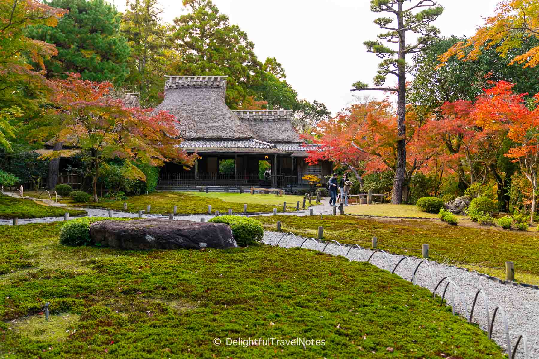 Yoshikien moss garden with scattered fall colors in Nara.