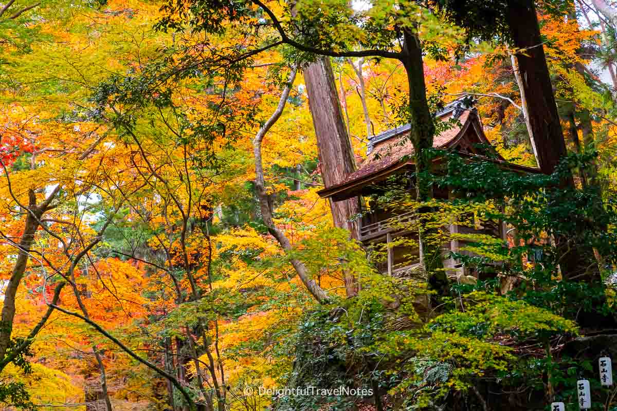 Hillside fall foliage at Ishiyamadera, best spot for fall colors in Otsu, Shiga.