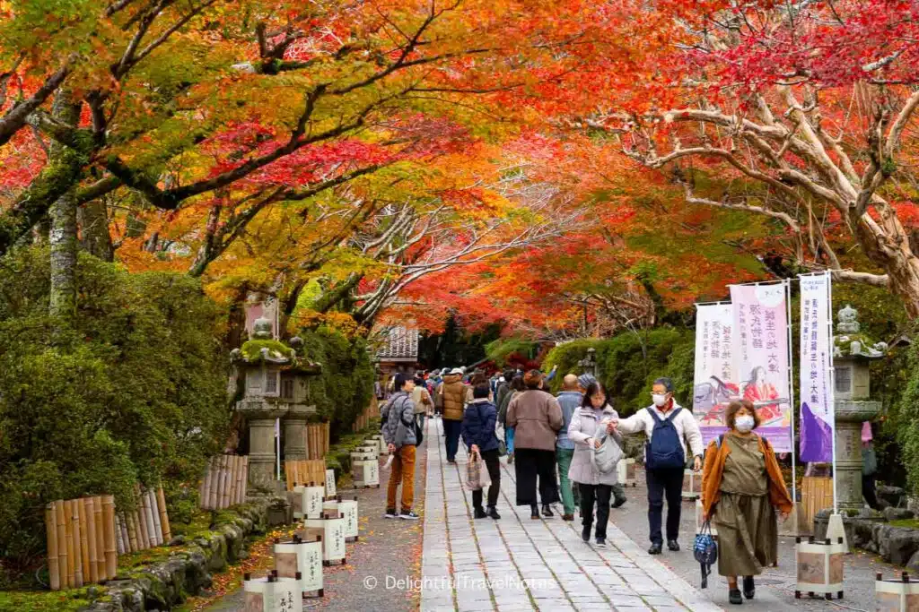 Pathway with stunning fall foliage Ishiyamadera in Otsu, Shiga.