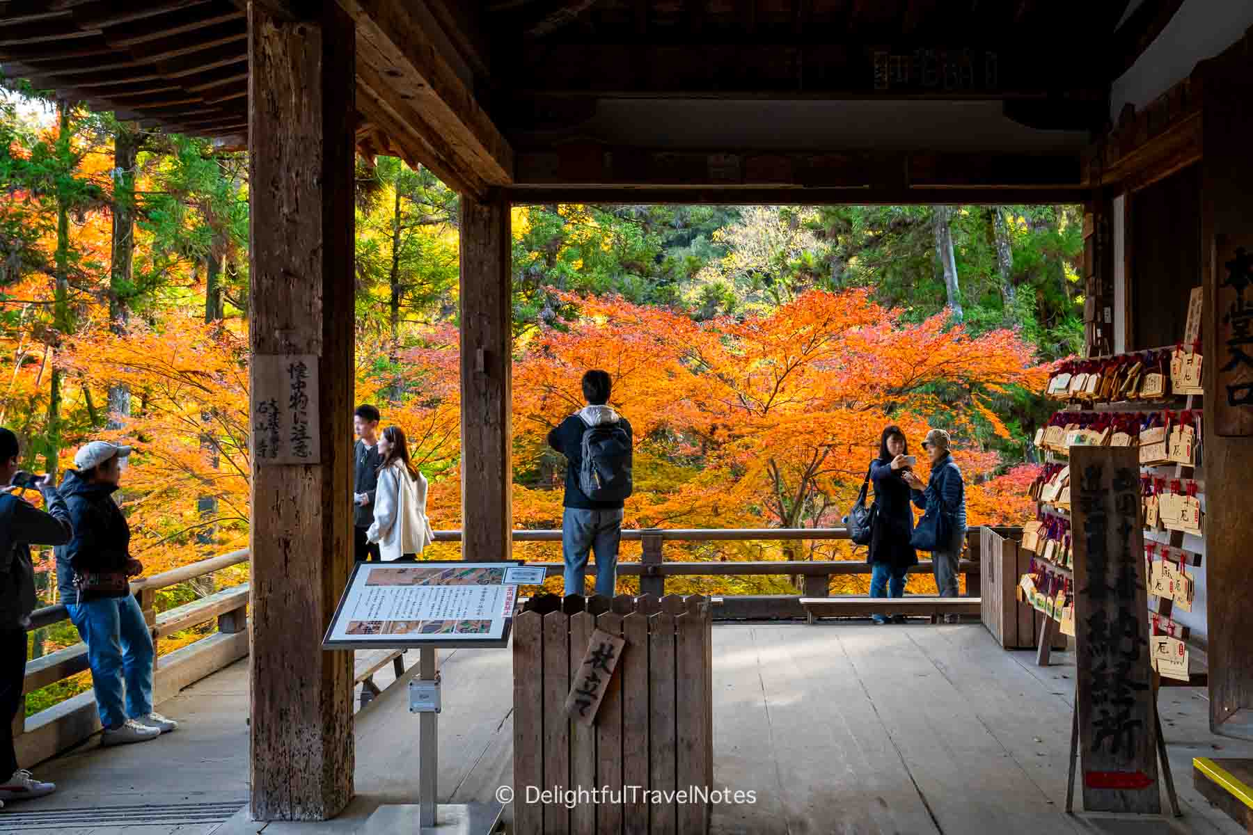 Veranda of Ishiyamadera main hall with vibrant fall foliage.