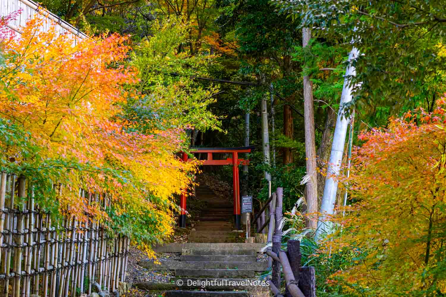 Wild Bird Sanctuary and Trail at the Westin Miyako Kyoto Hotel.