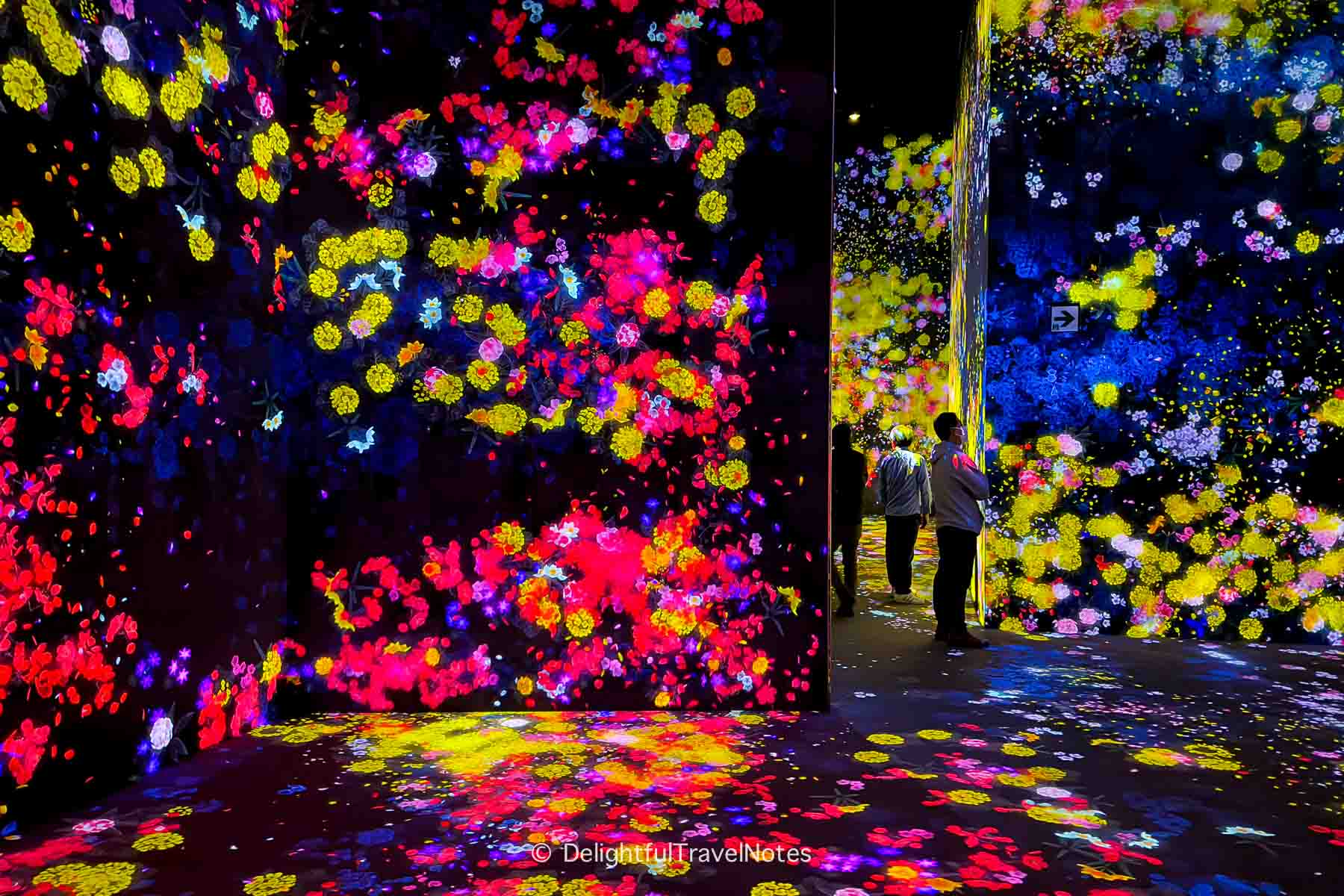 Flower room at TeamLab Borderless in Tokyo.