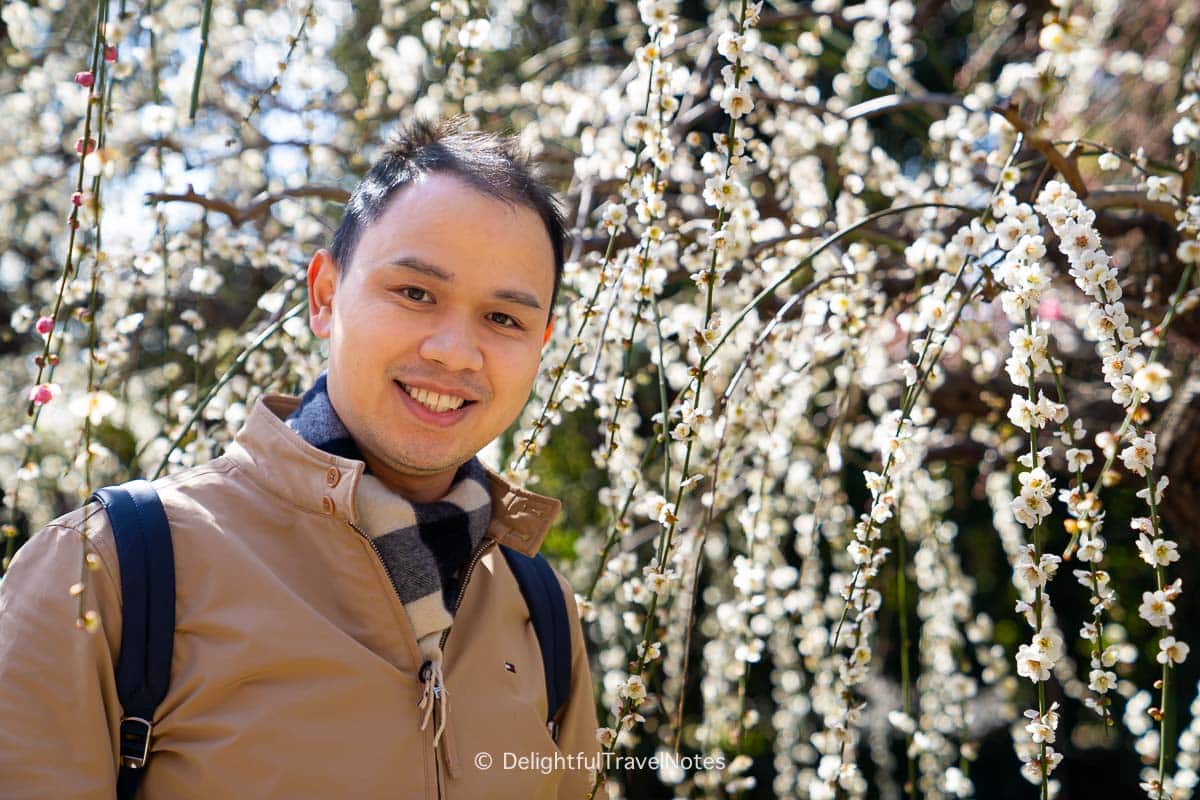 Admiring the beauty of weeping white plum blossoms at Jonan-gu, Kyoto