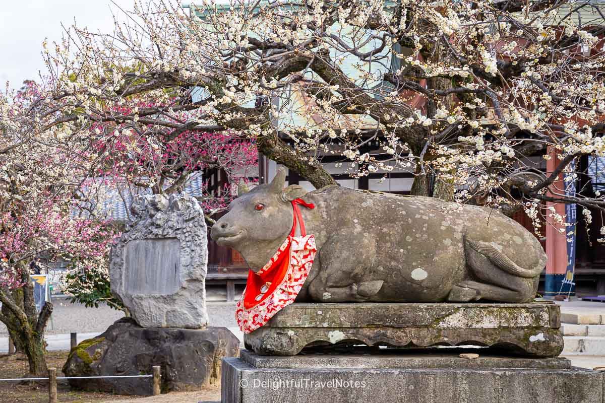 An ox statue on the grounds of Kitano Tenmangu Shrine in Kyoto.