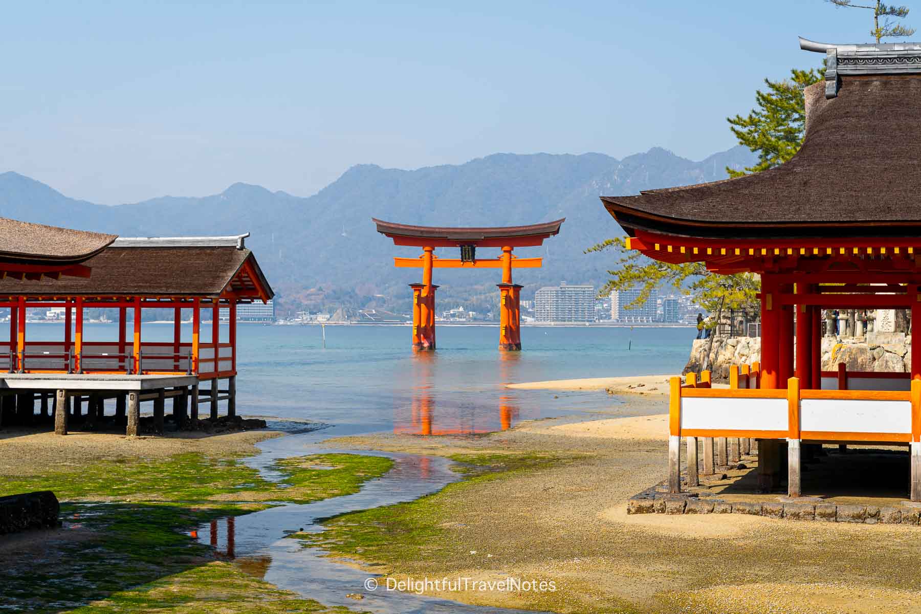 The torii viewed from inside Itsukushima Shrine at low tide.